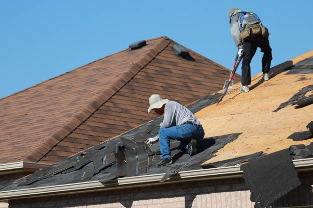 Best Asphalt Shingle Roofing  in St Jaco, IL